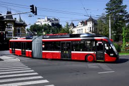 tramino