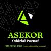 ASEKOR Artur Maciejewski