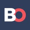 Agencja Interaktywna | Blue Owl | Software House