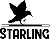Iluzjonista Łukasz \"STARLING\" Szydlik