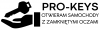 Pro-Keys Awaryjne otwieranie samochodu Poznań
